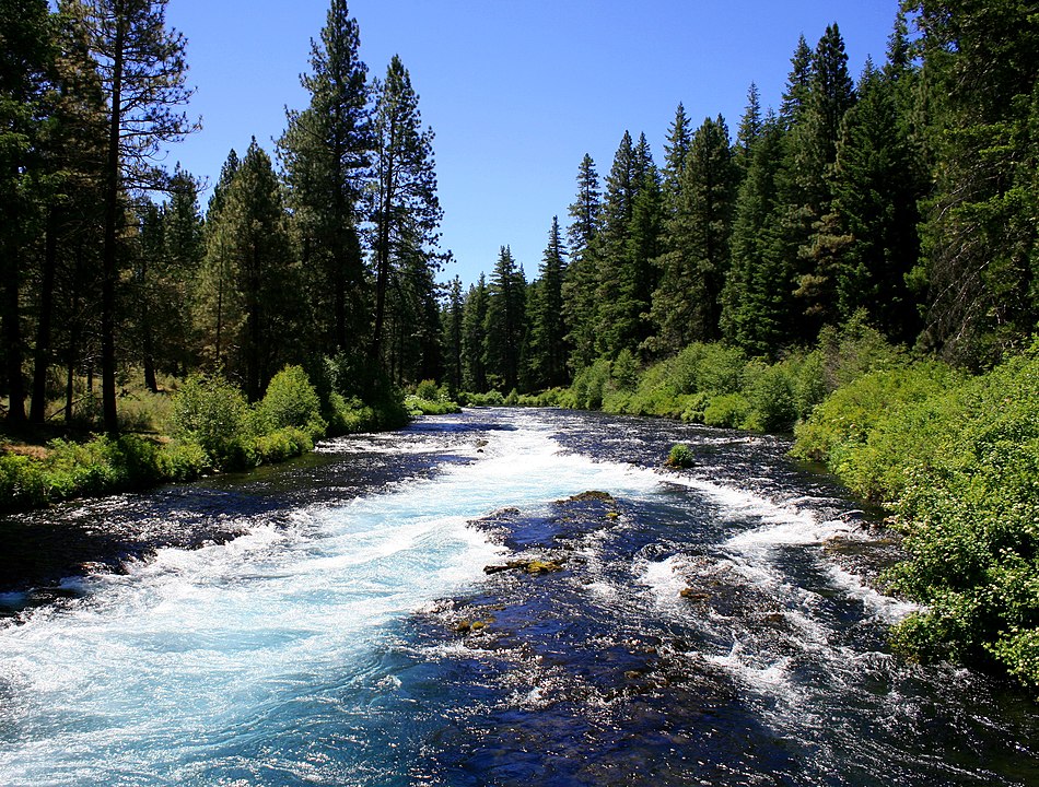 Oregon Fly Fishing - Metolius River - Where to Fly Fish for Trout